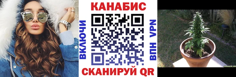 продажа наркотиков  Усть-Илимск  Канабис SATIVA & INDICA 